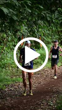 BIB:  <button type="button" onclick="openModal(27283844)" class="btn btn-primary btn-sm float-right" data-toggle="modal" data-target=".modal-high-quality">
                <i class="fa fa-download"></i> Download
                </button>